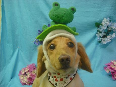 ファイル 4067-1.jpg