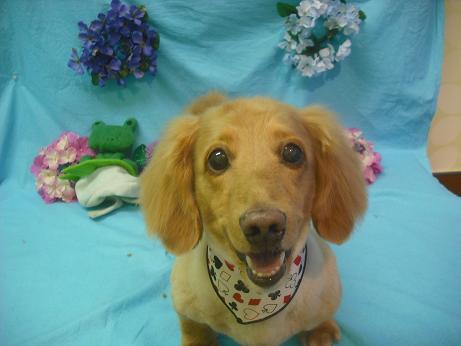 ファイル 4067-2.jpg