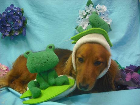 ファイル 4068-1.jpg