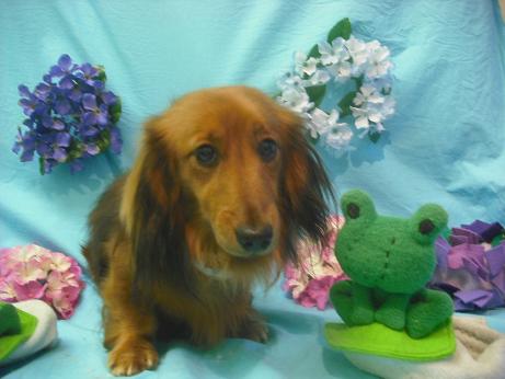 ファイル 4068-2.jpg