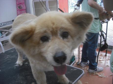 ファイル 4069-1.jpg