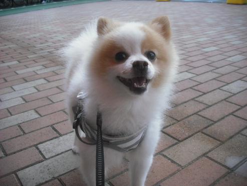 ファイル 407-2.jpg