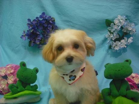 ファイル 4070-2.jpg