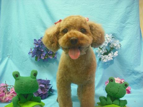 ファイル 4072-2.jpg