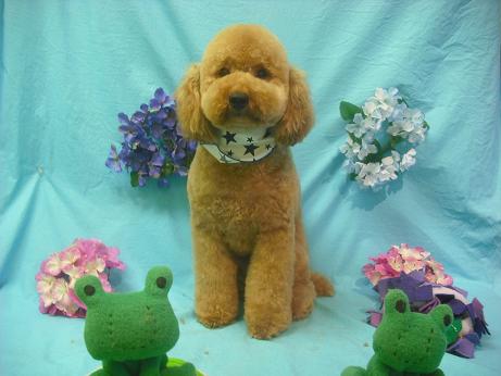 ファイル 4073-2.jpg