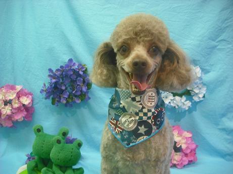 ファイル 4074-2.jpg