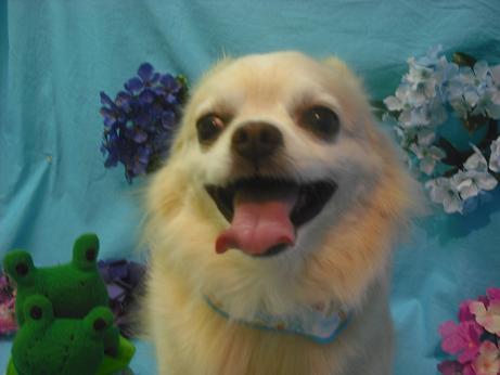 ファイル 4075-1.jpg