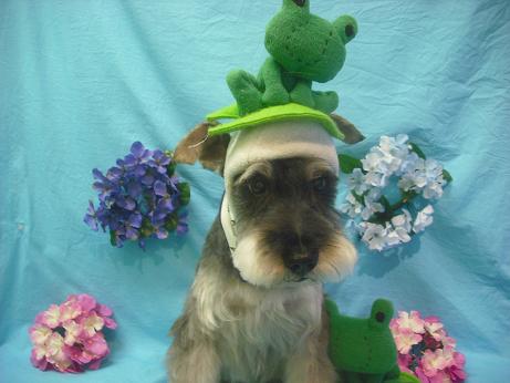 ファイル 4076-1.jpg