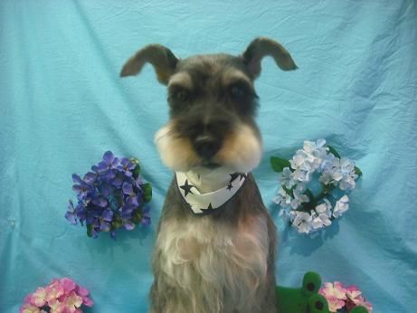 ファイル 4076-2.jpg