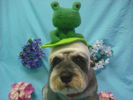 ファイル 4077-1.jpg