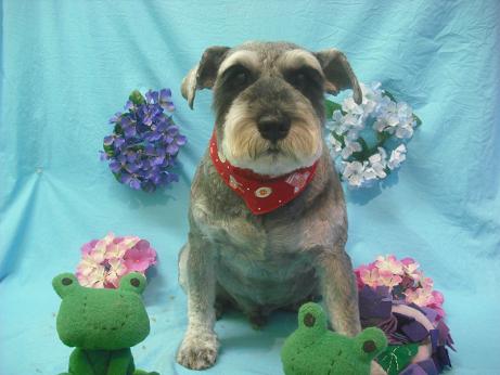 ファイル 4077-2.jpg