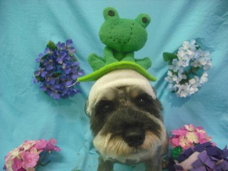 ファイル 4078-1.jpg