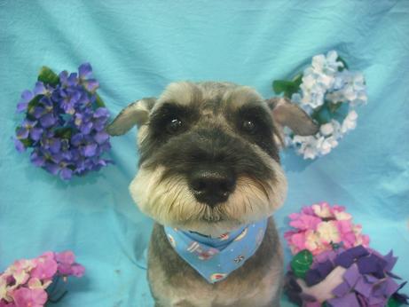 ファイル 4078-2.jpg