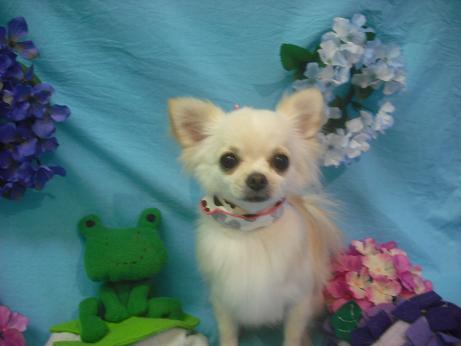 ファイル 4079-2.jpg