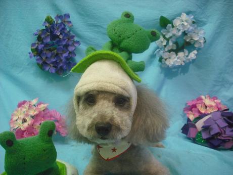 ファイル 4080-1.jpg