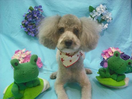 ファイル 4080-2.jpg