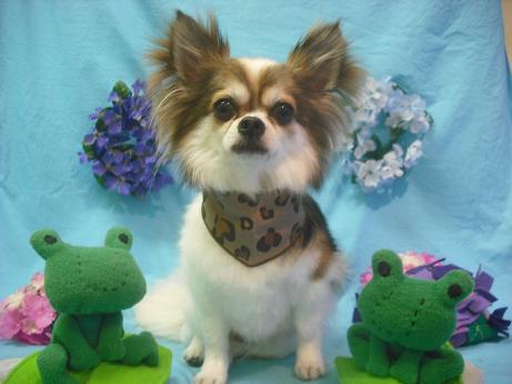 ファイル 4081-2.jpg