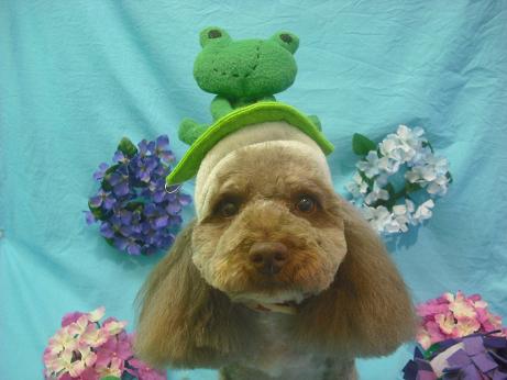 ファイル 4082-1.jpg