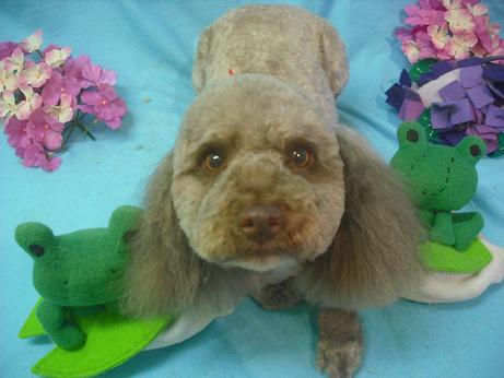 ファイル 4082-2.jpg