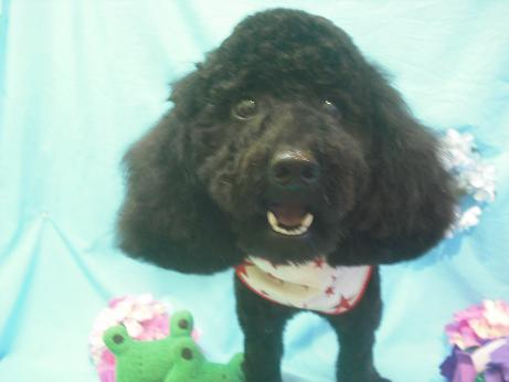 ファイル 4083-2.jpg