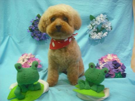 ファイル 4084-1.jpg