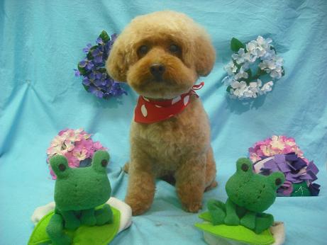 ファイル 4084-2.jpg