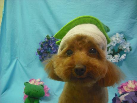 ファイル 4086-1.jpg