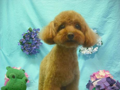 ファイル 4086-2.jpg