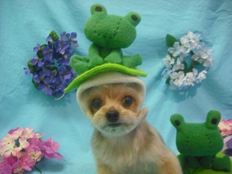 ファイル 4087-1.jpg