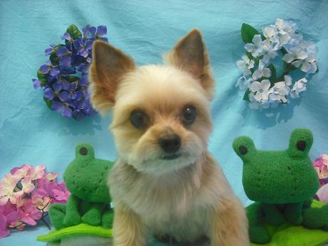 ファイル 4087-2.jpg