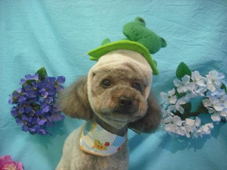 ファイル 4088-1.jpg