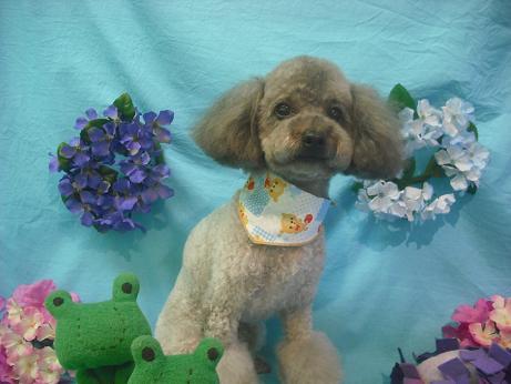 ファイル 4088-2.jpg