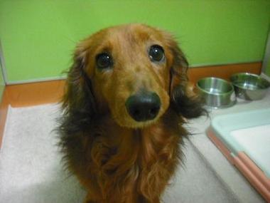 ファイル 409-1.jpg