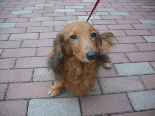 ファイル 409-2.jpg