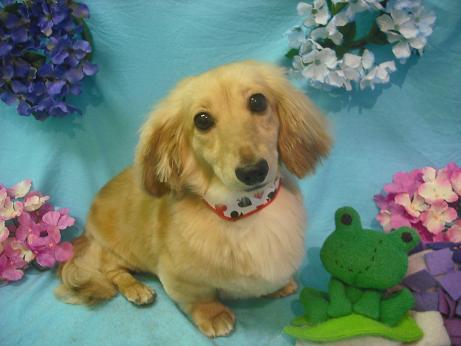 ファイル 4091-2.jpg