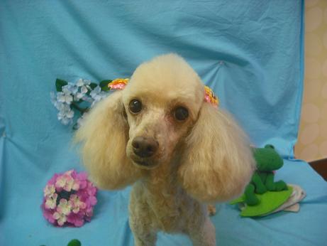 ファイル 4093-2.jpg