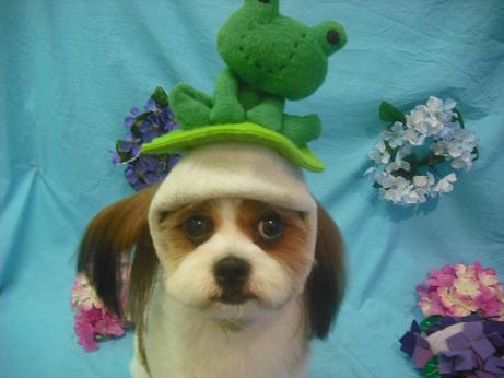 ファイル 4094-1.jpg