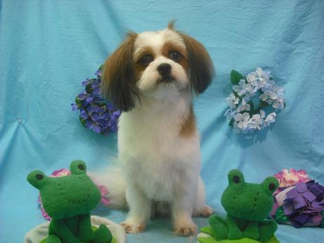 ファイル 4094-2.jpg