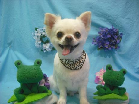 ファイル 4095-2.jpg