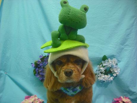 ファイル 4097-1.jpg