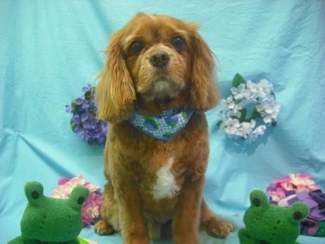 ファイル 4097-2.jpg