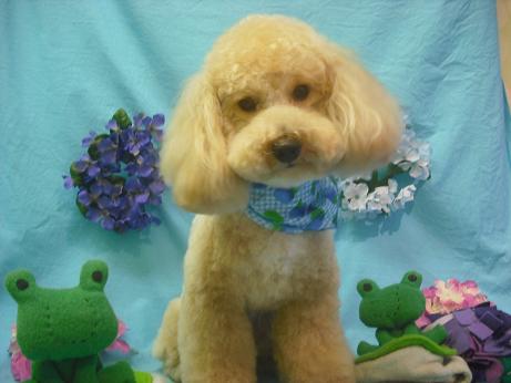 ファイル 4098-1.jpg