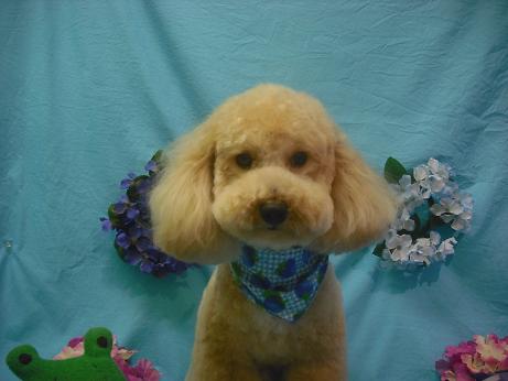 ファイル 4098-2.jpg