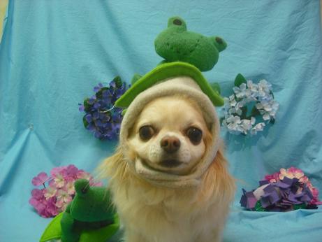 ファイル 4099-1.jpg