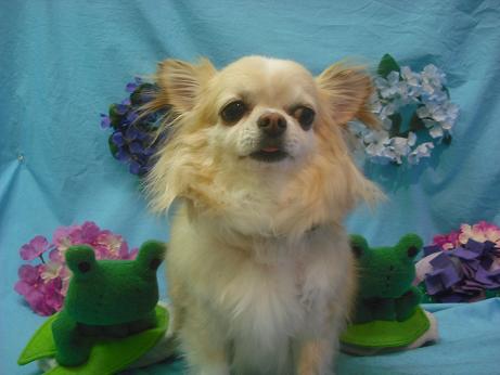 ファイル 4099-2.jpg