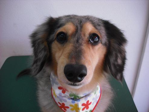 ファイル 41-1.jpg