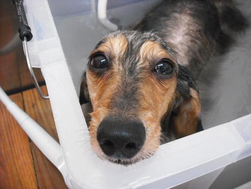 ファイル 41-2.jpg