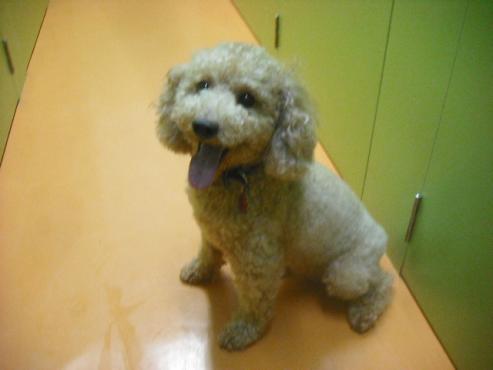 ファイル 410-1.jpg