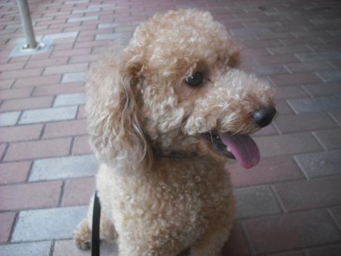 ファイル 410-2.jpg