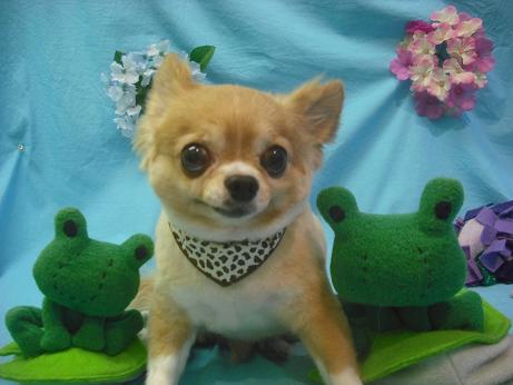 ファイル 4100-2.jpg